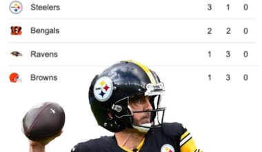 Ladies and Gentlemen, your Pittsburgh Steelers are 1st Place in the AFC North