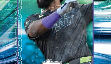 Don't know how many of you collect cards here, but I decided to make a cover for my new binder, since I couldn't find good images around, and I put Junior on it