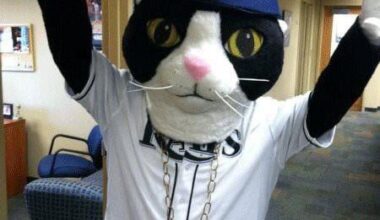 DJ Kitty appreciation post