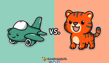 New York Jets Week 8 Matchup Doodle :)