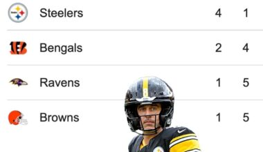Ladies and gentlemen, your Pittsburgh Steelers are once again at the top of the AFC north