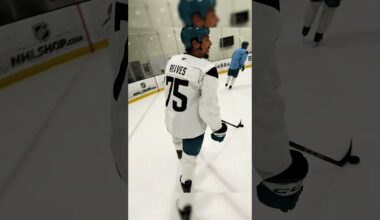 POV: You're an NHL player