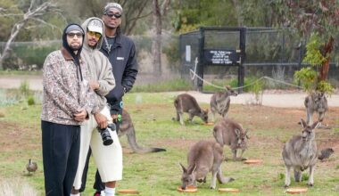 Pelicans visit zoo in Australia | NBA x NBL Melbourne Series 10/2/2025