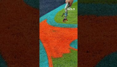 The pitch blue is here 😎🎨