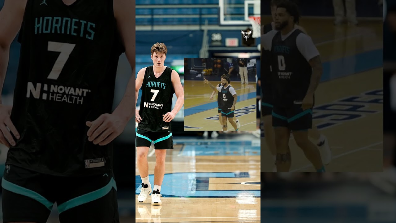 hivelights 🐝 📹 #basketball #highlights