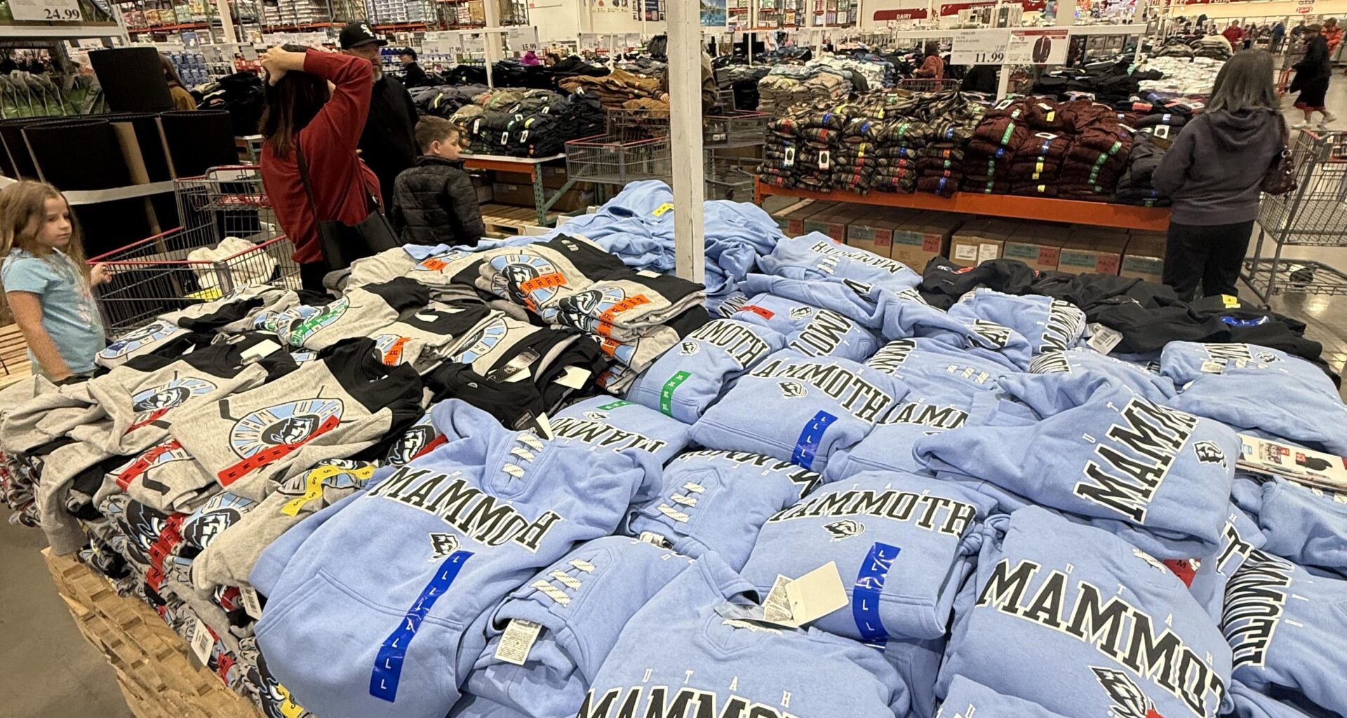 Costco’s in the valley have lots of cheap merch, photo taken today.
