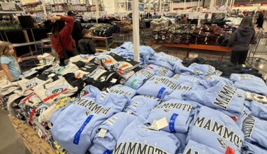 Costco’s in the valley have lots of cheap merch, photo taken today.