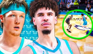 The Hornets Have Found A New Identity...