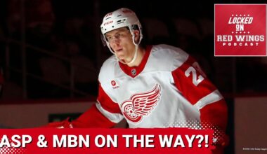 Have Michael Brandsegg-Nygard and Axel Sandin-Pellikka made the team? | Gustafsson and Holl waived