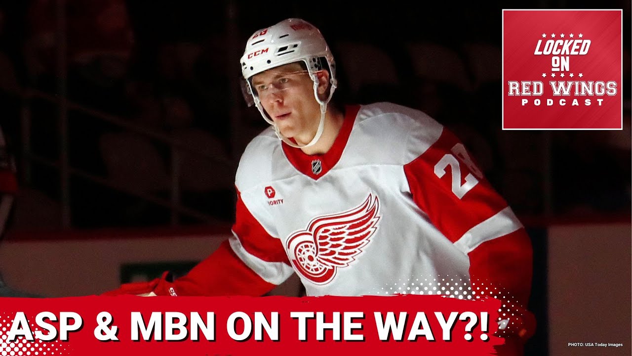 Have Michael Brandsegg-Nygard and Axel Sandin-Pellikka made the team? | Gustafsson and Holl waived