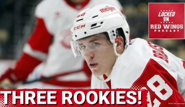AXEL SANDIN-PELLIKKA, MICHAEL BRANDSEGG-NYGARD AND EMMITT FINNIE ARE DETROIT RED WINGS