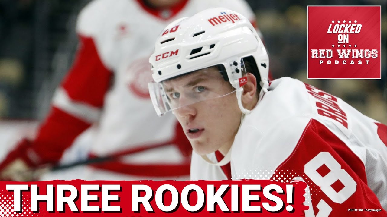 AXEL SANDIN-PELLIKKA, MICHAEL BRANDSEGG-NYGARD AND EMMITT FINNIE ARE DETROIT RED WINGS