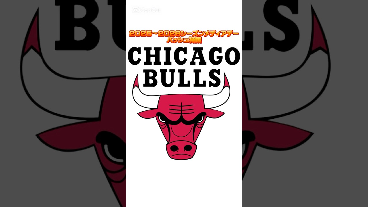 2025〜2026シーズンNBAメディアデーバッシュ特集 ブルズ編 #バッシュ #shorts #bulls