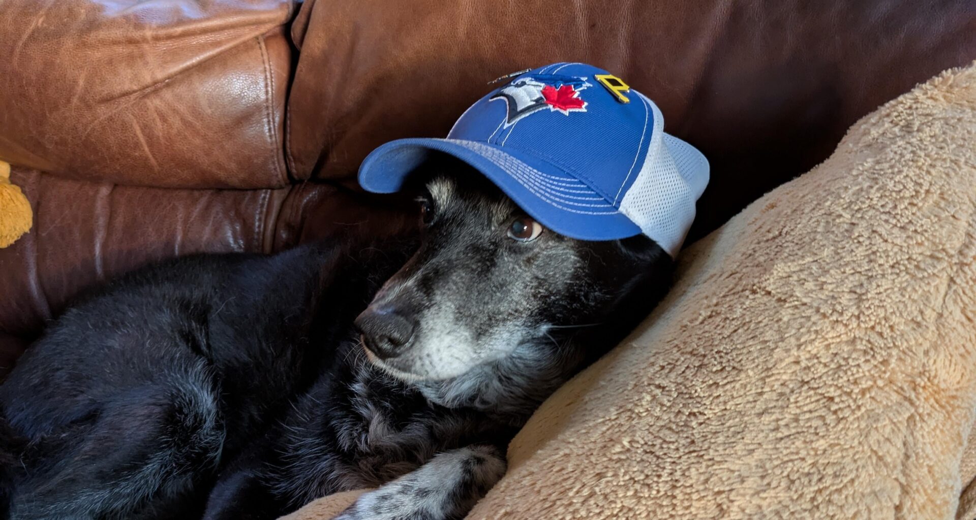 Ready for tonight's game!