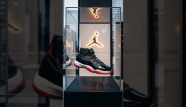 Air Jordan 11 🐐 #goat #airjordan #chicagobulls #nba #nike #champion #love #fashion  #live