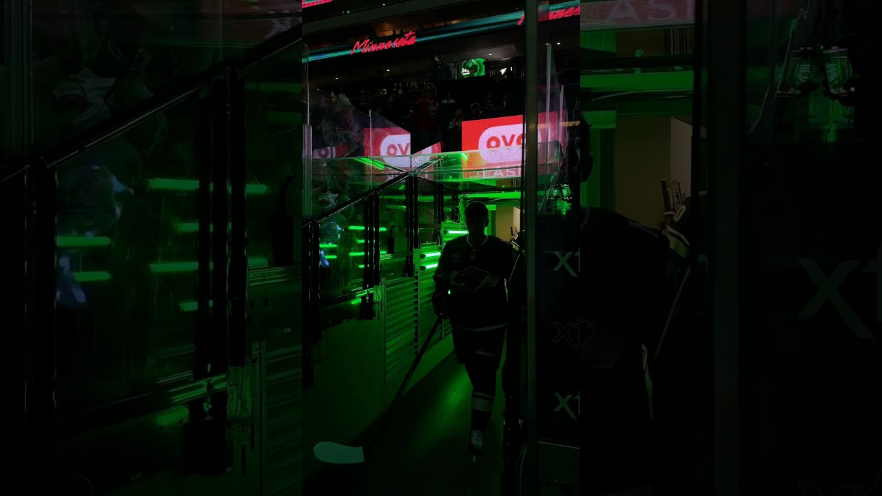 zoomies but make it hockey