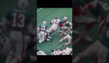 Jake Scott: The Dolphin Who Vanished to Paradise