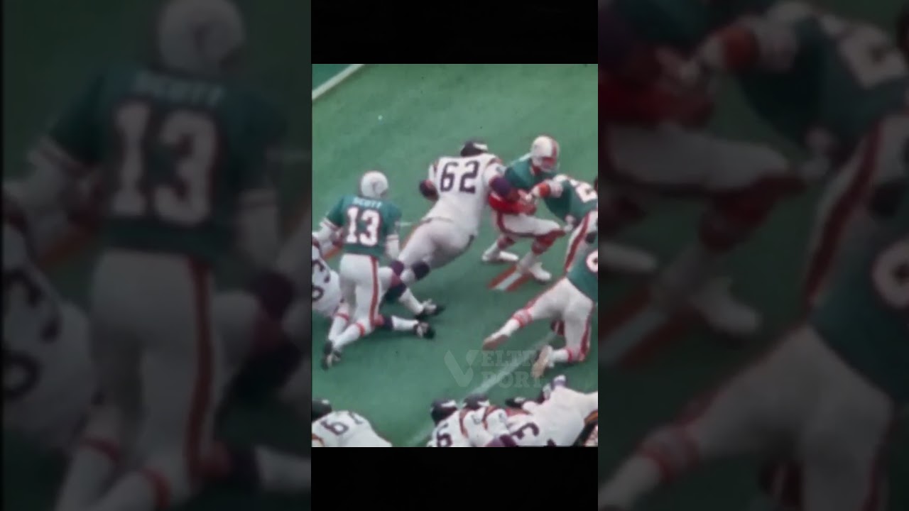 Jake Scott: The Dolphin Who Vanished to Paradise