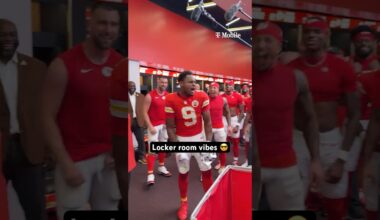 Vibes are as you'd expect 😎