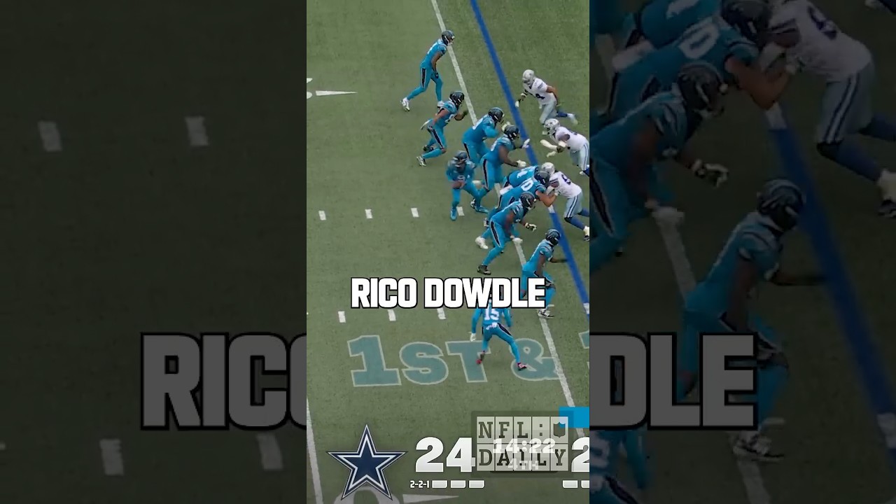 The Carolina Panthers are BACK