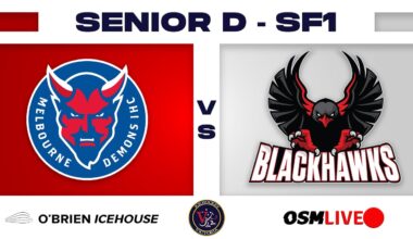 Semi Final 1 | Demon vs Blackhawks | IHV Senior D | Ice Hockey