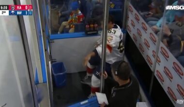 This is actually insane behaviour