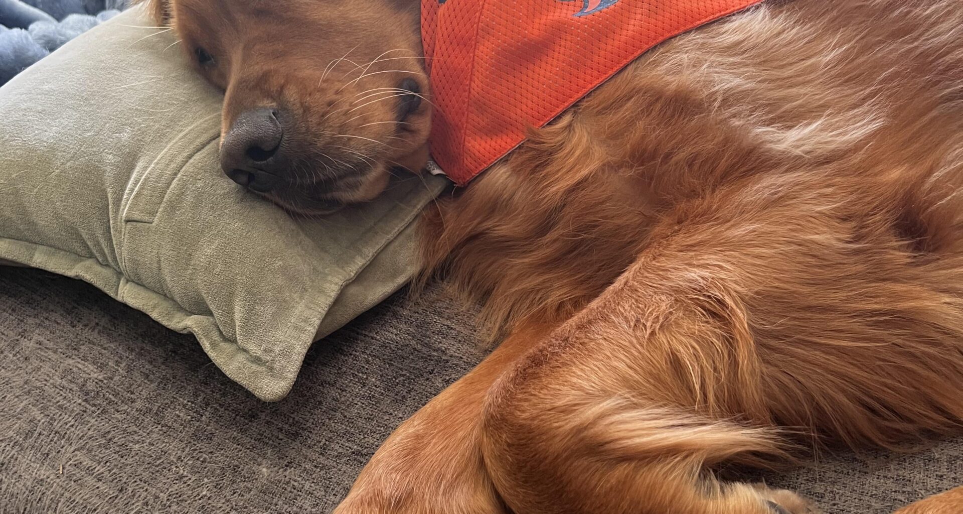 Frank Says Silence The Giants!