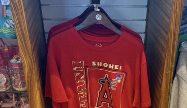 Spotted for sale at SNA