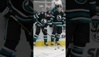 Born to be a Shark 😤