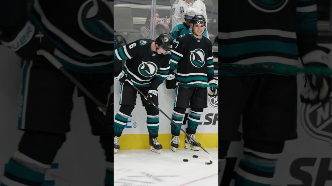 Born to be a Shark 😤