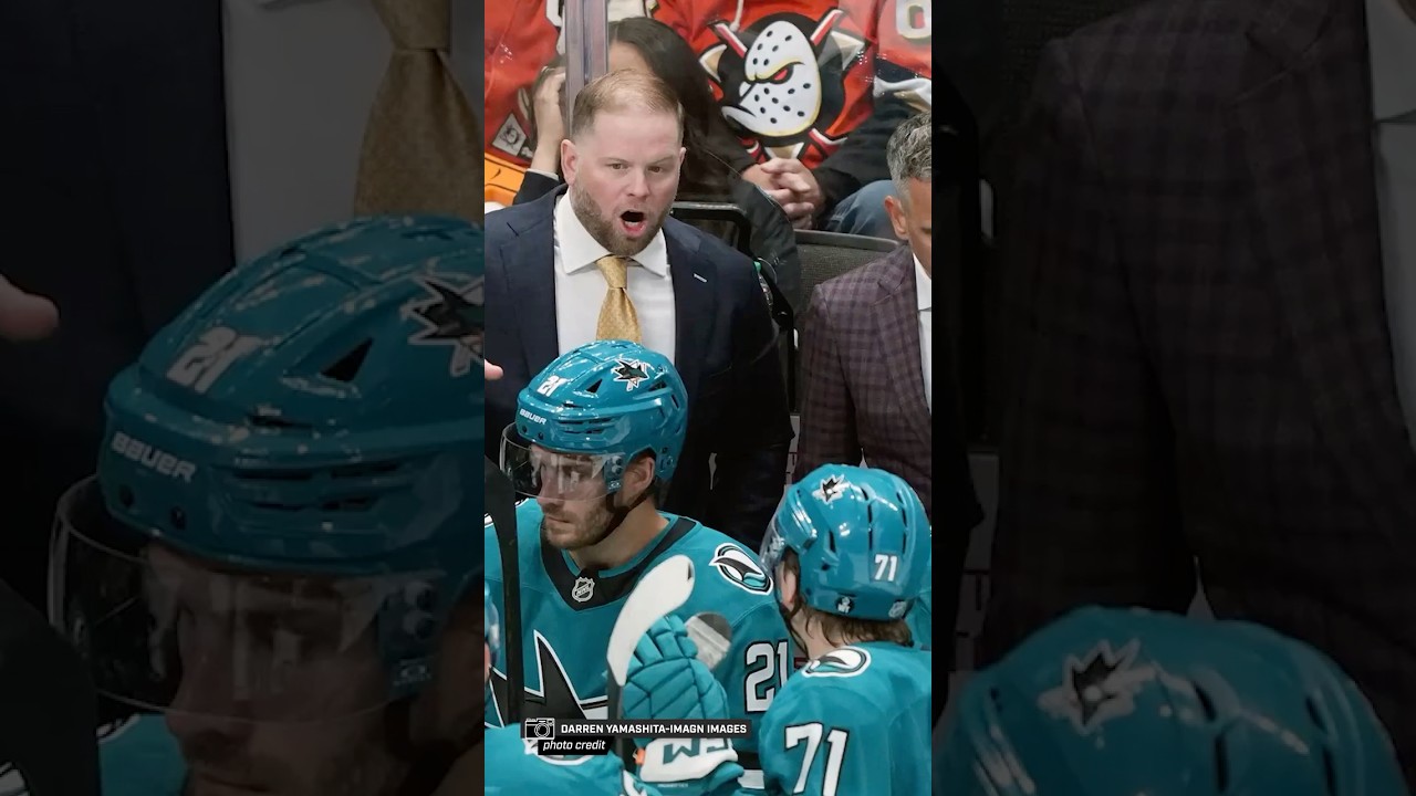 How many more bad years do the Sharks need??