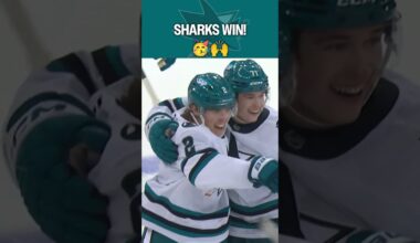 The WAIT is OVER! 🙌🦈