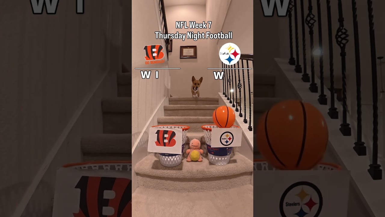 NFL Week 7 Thursday Night Football- Cincinnati Bengals vs Pittsburgh Steelers, #NFL #Football