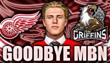 DETROIT RED WINGS SAY GOODBYE TO MICHAEL BRANDSEGG-NYGARD: SENT DOWN TO THE AHL