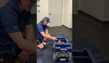 Big cat 🤝 lil cat