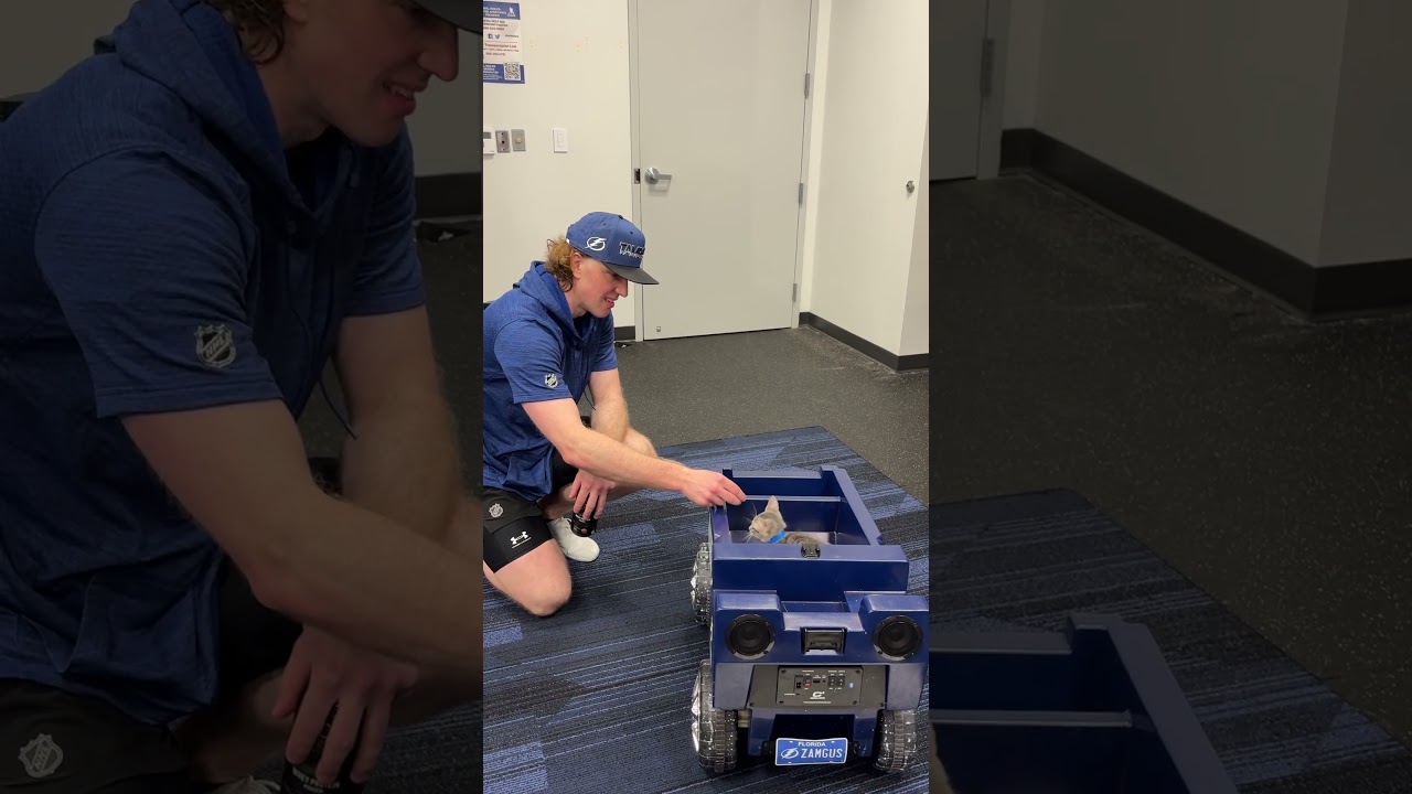 Big cat 🤝 lil cat