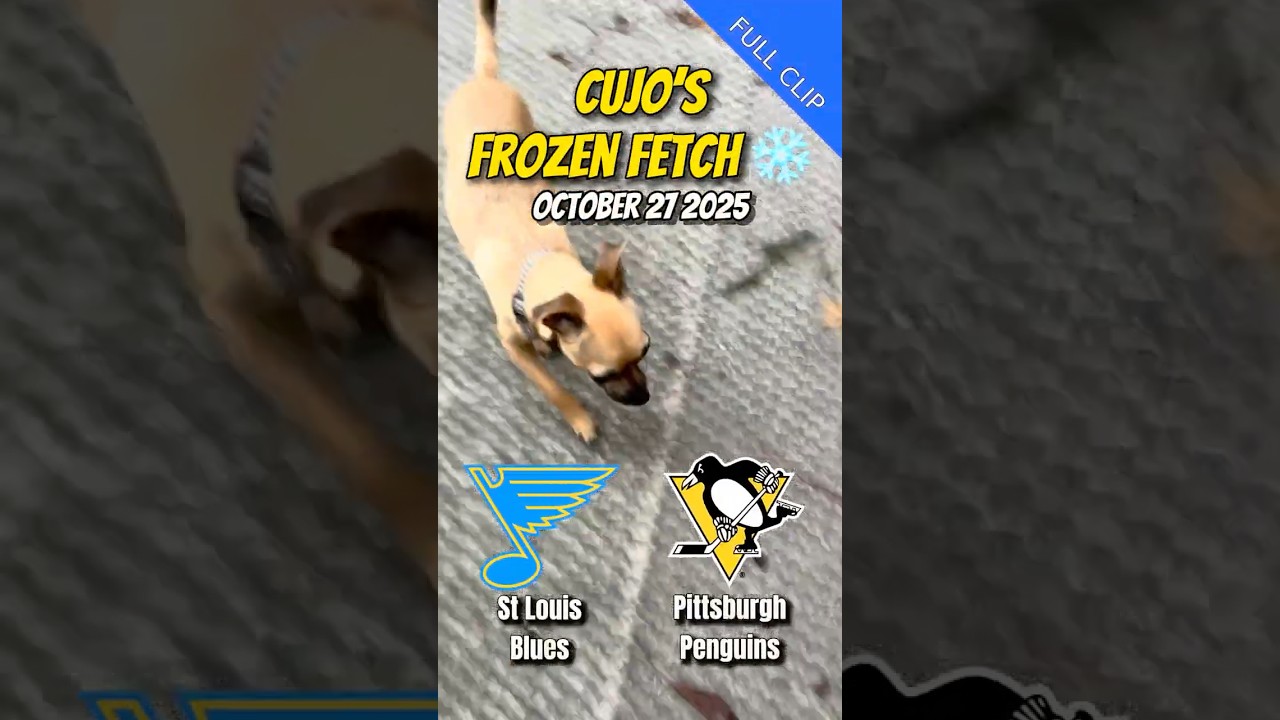 Cujo’s Frozen Fetch | St. Louis Blues vs Pittsburgh Penguins 🐕