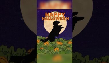 It's the Great Decoy, Charlie Brown!