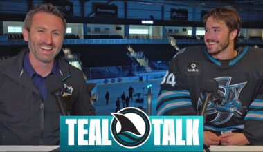 Teal Talk: Matt Davis
