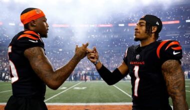 "they're insignificant." - Mike Tomlin, when asked after halftime how they stop Chase and Higgins.