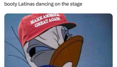 Everyone love big booty Latinas.