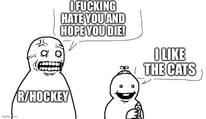 Average r/hockey experience