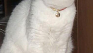 OCT 1 PLAYOFF WATCH THREAD