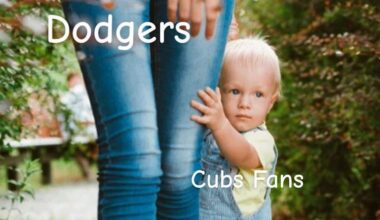 Perfect analogy for cubs fans