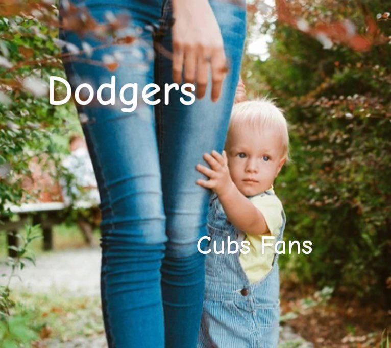 Perfect analogy for cubs fans