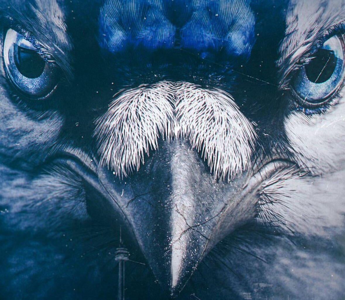 Jays Media killing it as usual