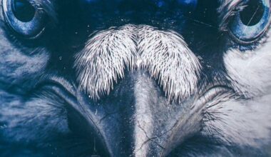 Jays Media killing it as usual