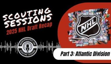 Something to cheer us up (2025 draft review by HockeyProspect)