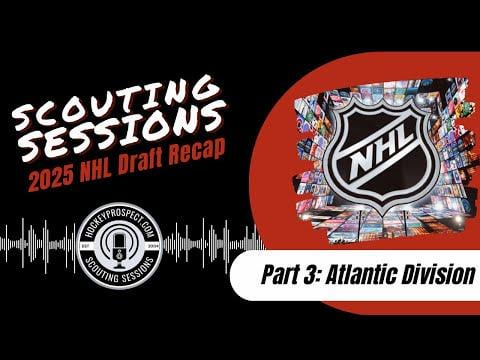 Something to cheer us up (2025 draft review by HockeyProspect)