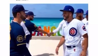 OMG, wild bills insta story 😂